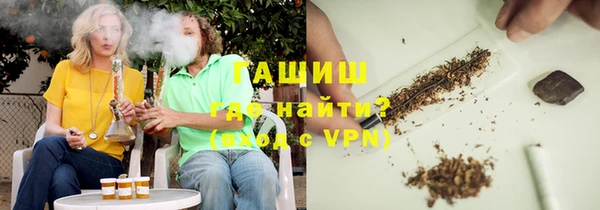 индика Абинск