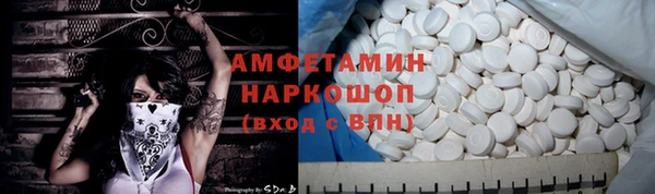 индика Абинск