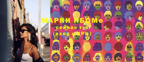 индика Абинск