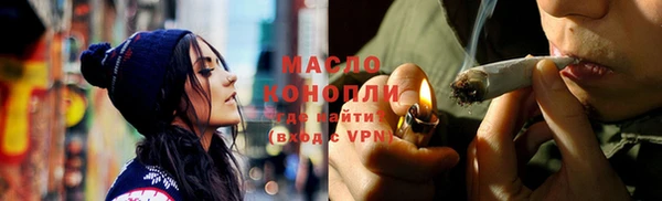 мдпв Ельня