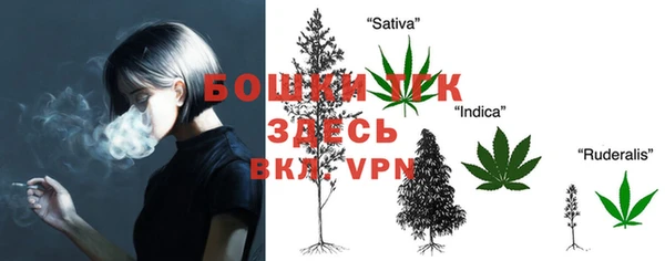 круглые Абаза
