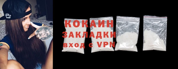индика Абинск