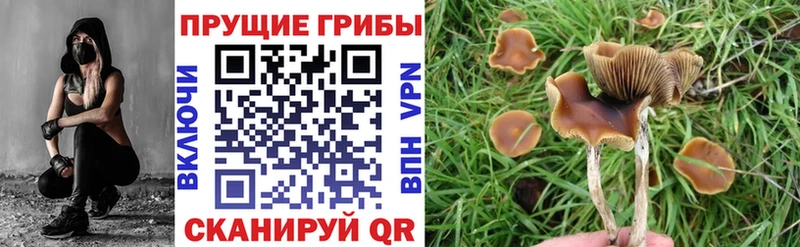 Галлюциногенные грибы GOLDEN TEACHER Краснозаводск