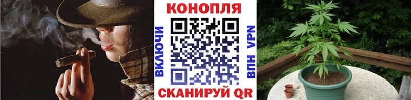 МАРИХУАНА сатива  Краснозаводск 